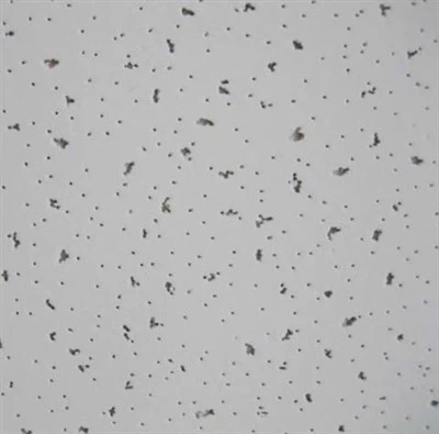 Akustični spuščeni stropi